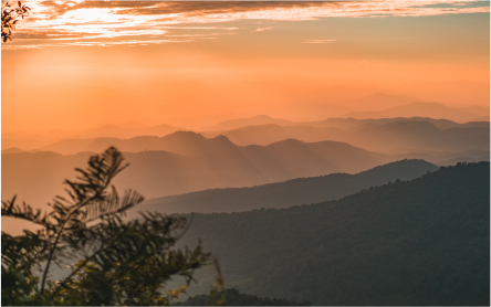 sunset from mountains with vegetation in front